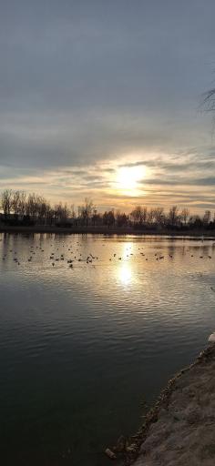 عکس پارک ساحلی زرین شهر