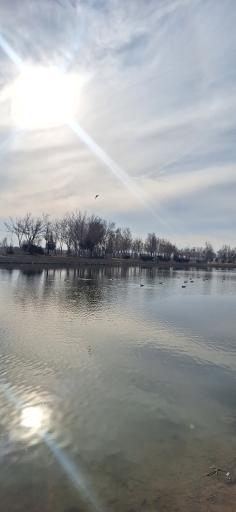 عکس پارک ساحلی زرین شهر