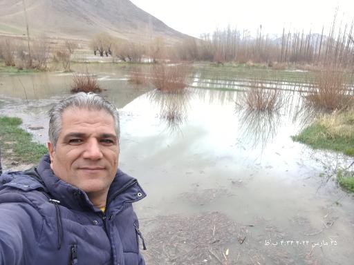 عکس گاوگدار