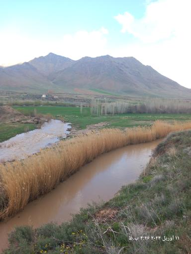 عکس گاوگدار
