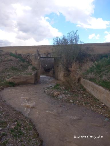 عکس گاوگدار