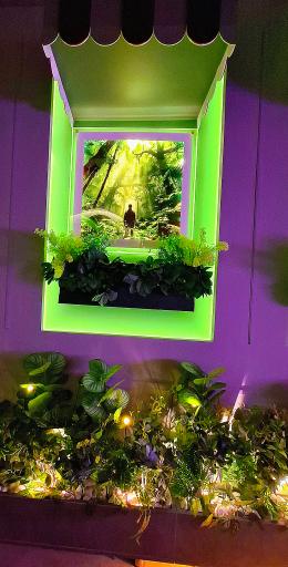 عکس کافه ویولت