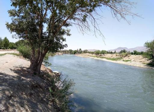 عکس بوستان ساحلی لنج