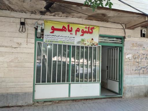 عکس گیاهان دارویی کلثوم یاهو