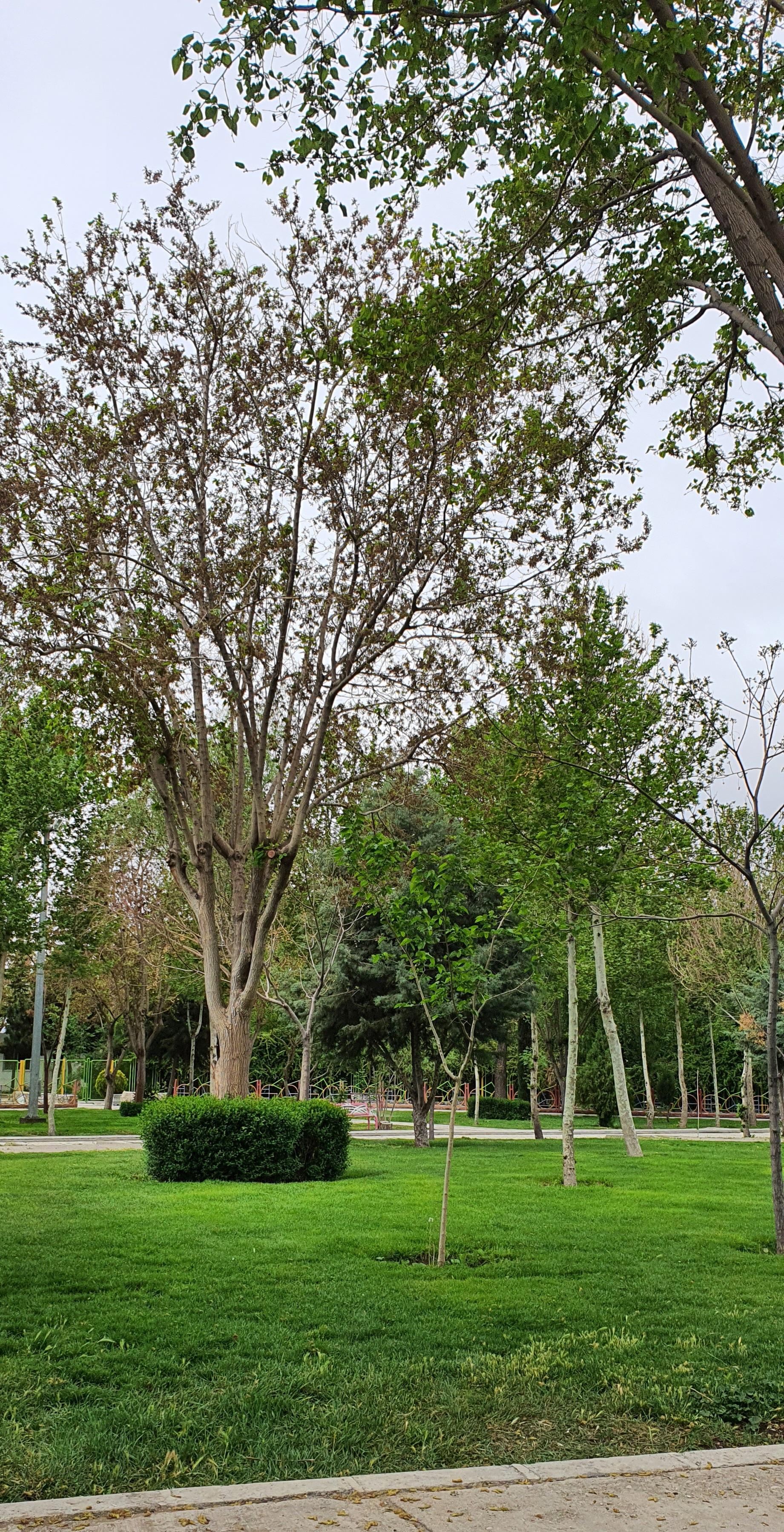 عکس پارک ساحلی زرین شهر
