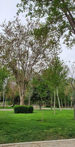 عکس پارک ساحلی زرین شهر