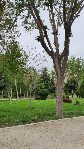 عکس پارک ساحلی زرین شهر