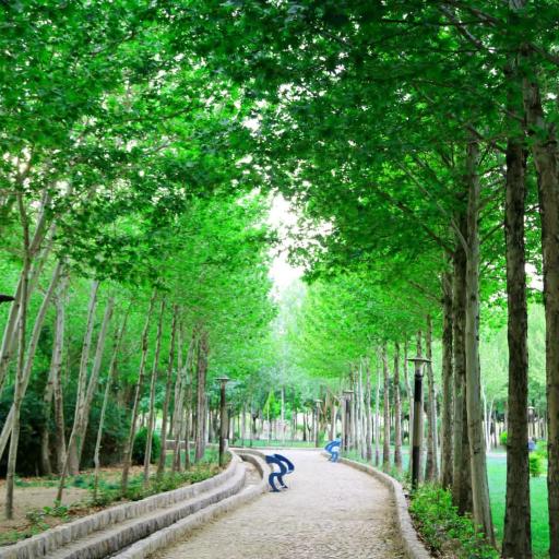 عکس بوستان ساحلی لنج