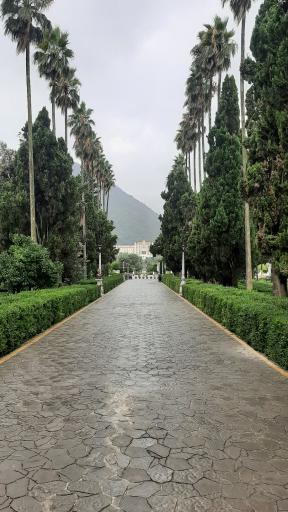 عکس بلوار کازینو