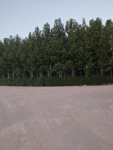 عکس بوستان ساحلی لنج