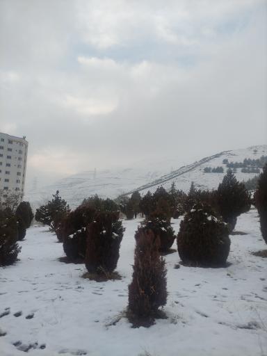 عکس بام سعادت آباد