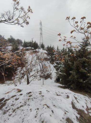 عکس بام سعادت آباد