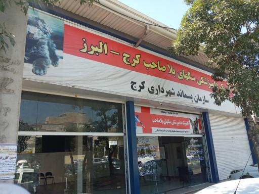 عکس کلینیک دامپزشکی سگهای بلاصاحب کرج - البرز