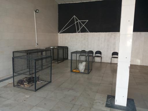 عکس کلینیک دامپزشکی سگهای بلاصاحب کرج - البرز