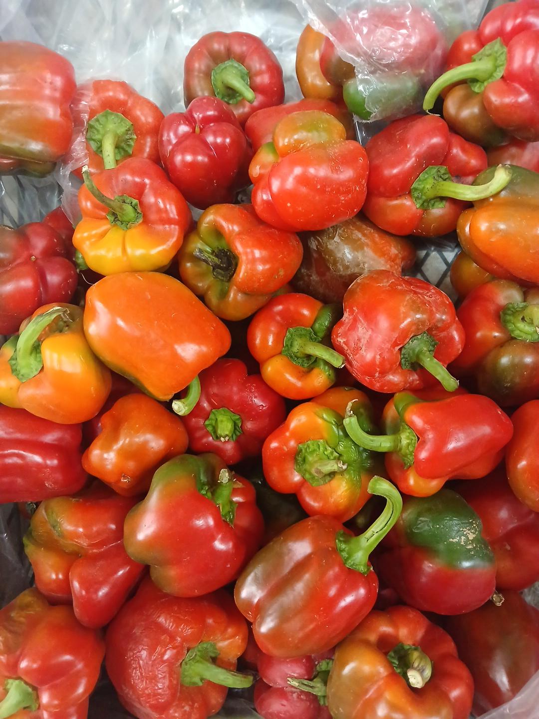 عکس حراجستون میوه سالک