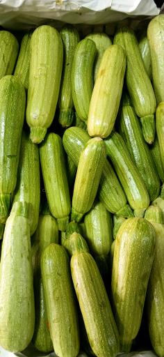 عکس حراجستون میوه سالک