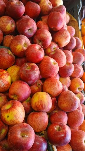 حراجستون میوه سالک