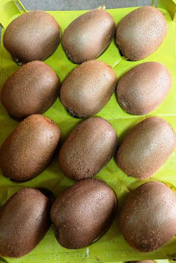 عکس حراجستون میوه سالک