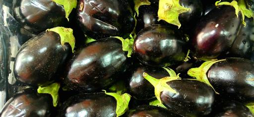 حراجستون میوه سالک