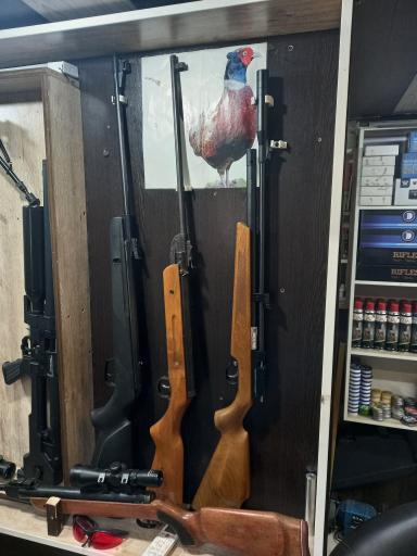 لوازم شکار و ماهیگیری گودرزی