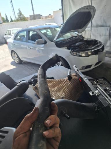 جلوبندسازی محمود