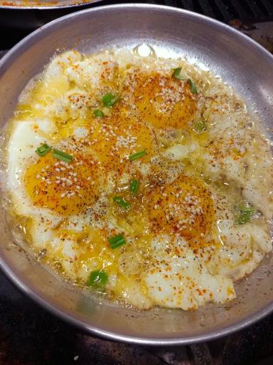 عکس اغذیه وصبحانه خانوم نبات 