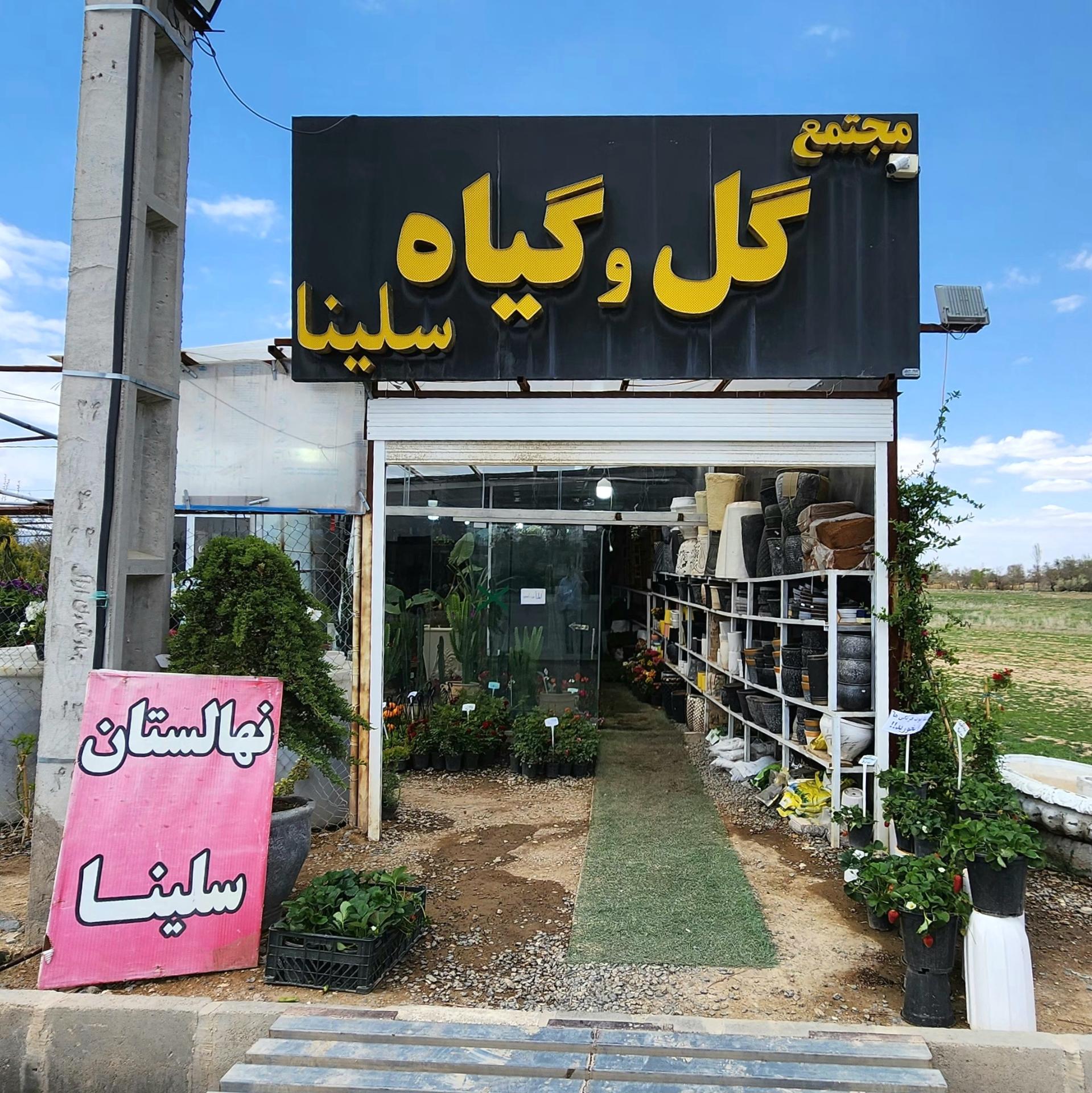 عکس گل و گیاه سلینا