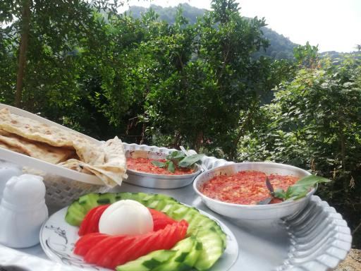 عکس رستوران گیله خانم