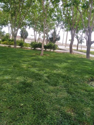 عکس بوستان مریم