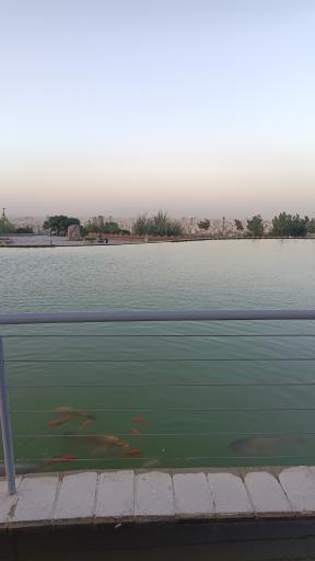عکس دریاچه بوستان کوهشار