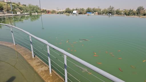 عکس دریاچه بوستان کوهشار