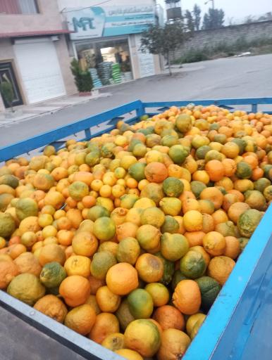 عکس میدان میوه و تره بار کرج