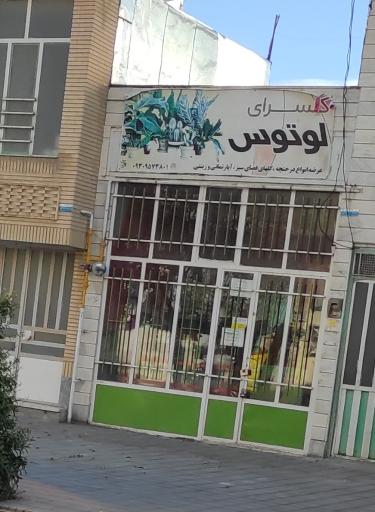 گلسرای لوتوس