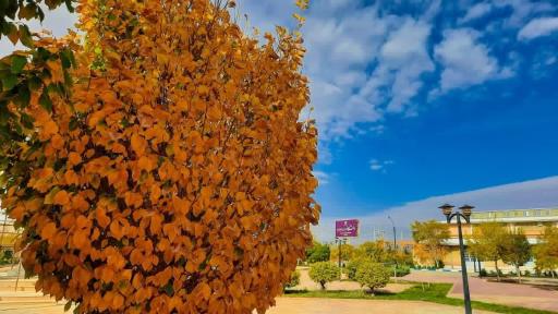 عکس دانشگاه دولتی تربت حیدریه