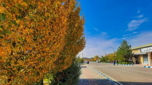 عکس دانشگاه دولتی تربت حیدریه