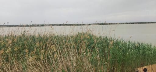 عکس نهر خیّن