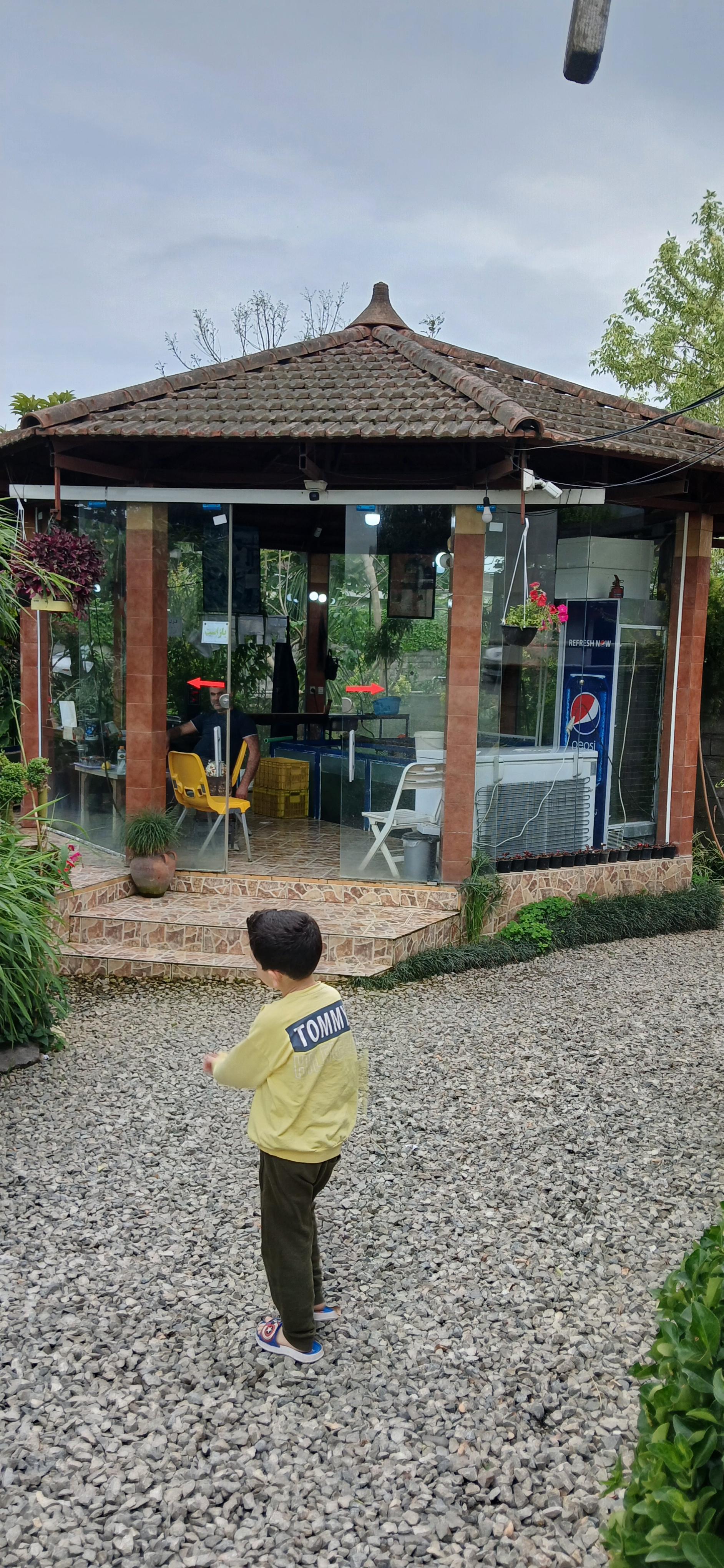 عکس ماهی سرای طبیعت