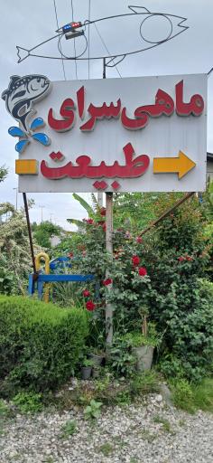 عکس ماهی سرای طبیعت