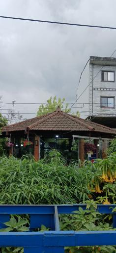 عکس ماهی سرای طبیعت