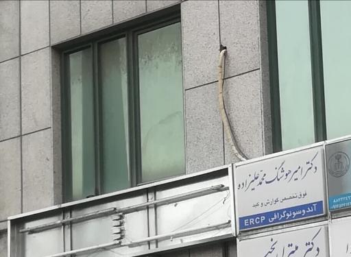 عکس دکتر امیر هوشنگ محمدعلیزاده فوق تخصص گوارش و کبد