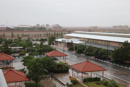 عکس دانشگاه دولتی تربت حیدریه