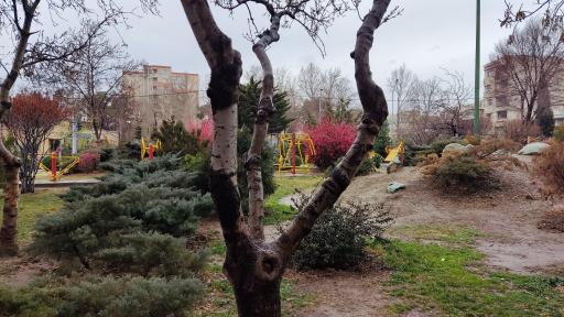 عکس بوستان رازقی