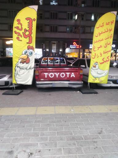 عکس مرغ گرم رزین بال 