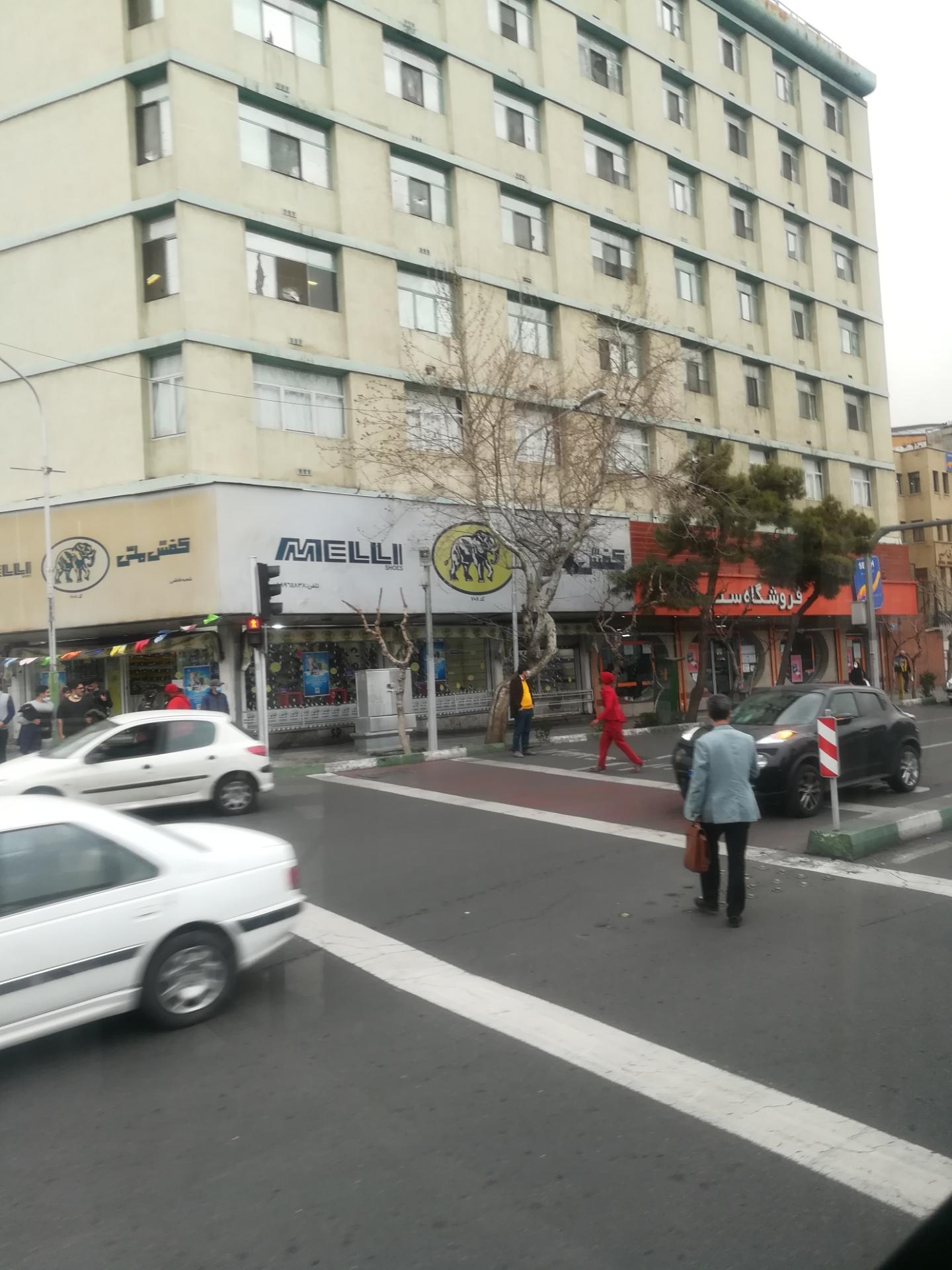 عکس کفش ملی