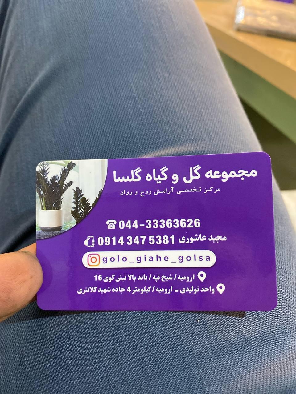 عکس گل و گیاه گلسا 