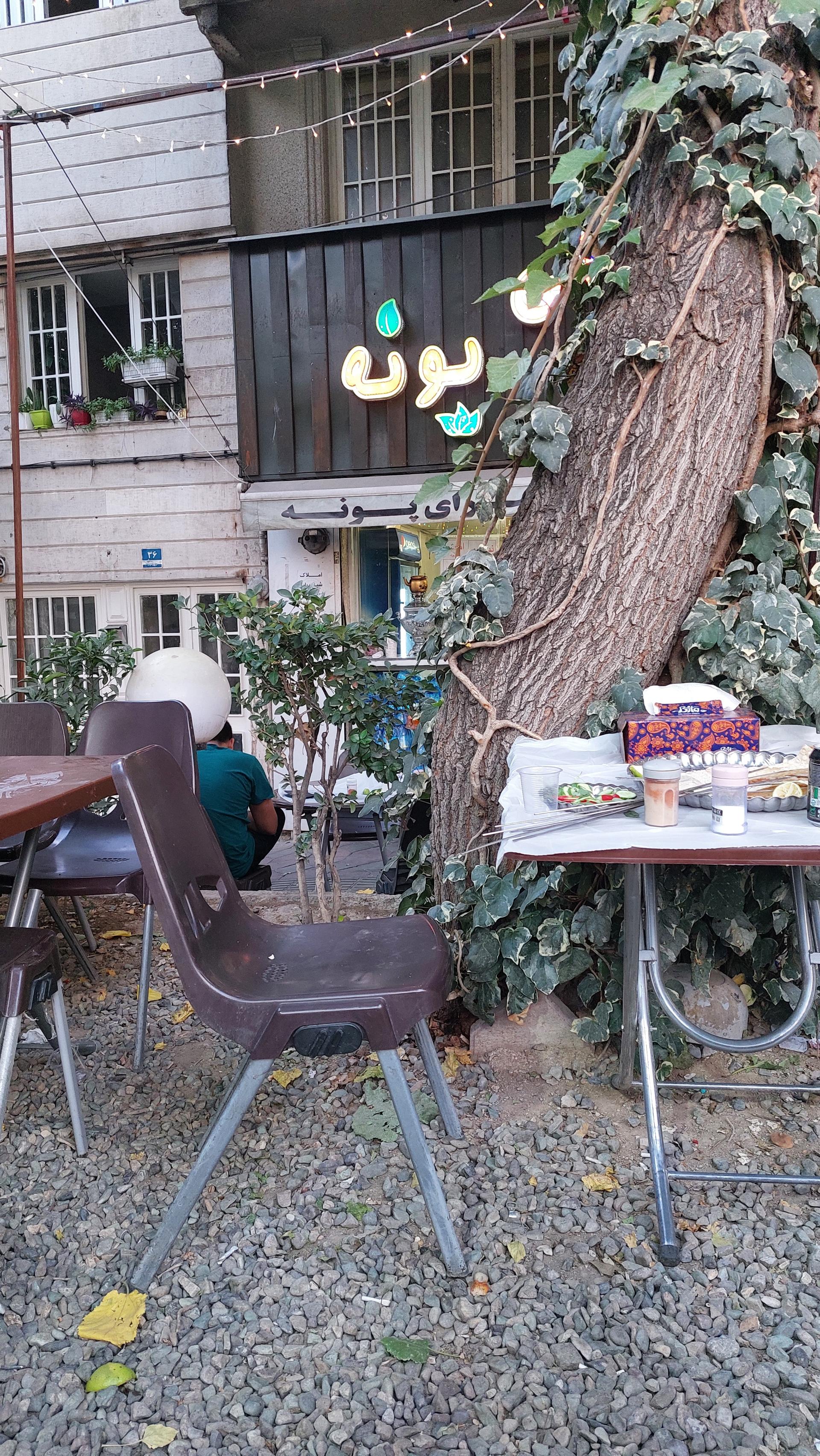 عکس جگرکی پونه