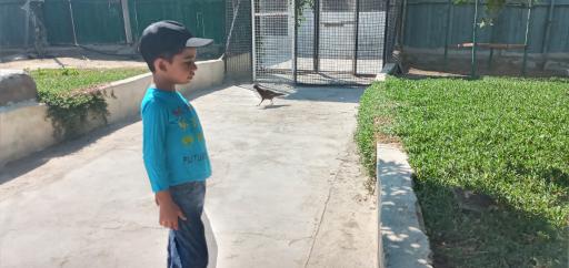 عکس پارک کروکودیل نوپک قشم