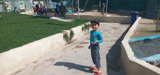 عکس پارک کروکودیل نوپک قشم