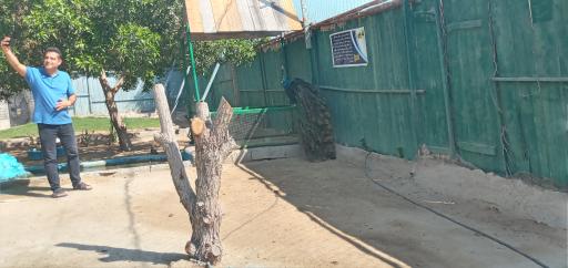 عکس پارک کروکودیل نوپک قشم