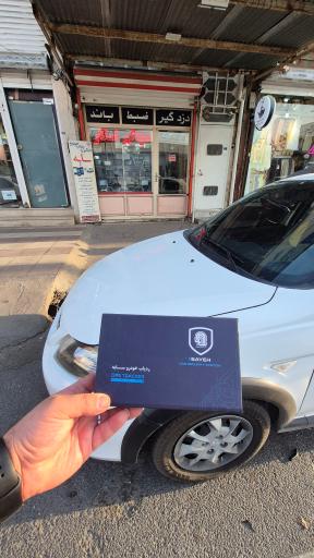 عکس دزدگیر اسکار 